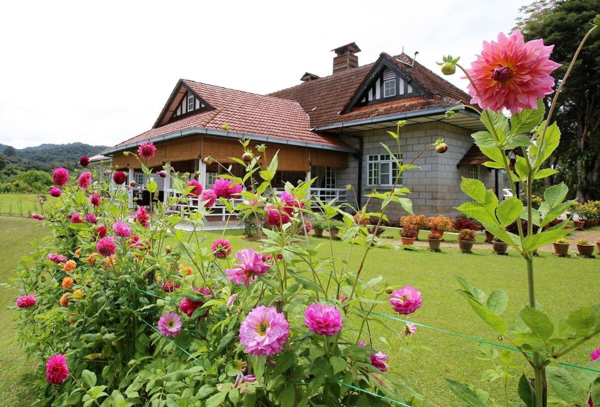 Bukit Lowick Bungalow Tanah Rata Bagian luar foto